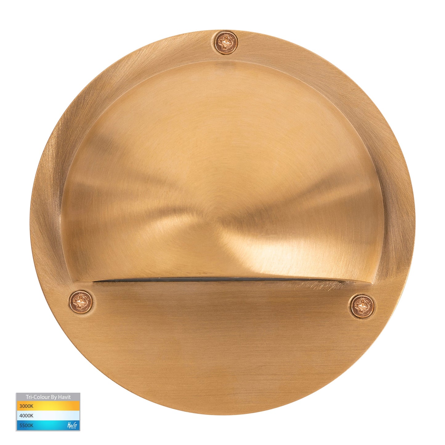 Surface Mounted Step Light with Eyelid Brass
