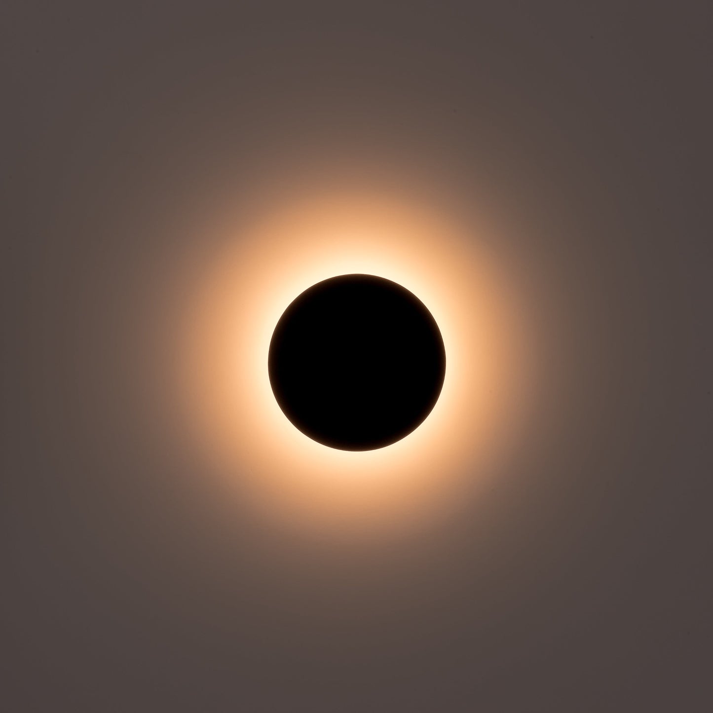 Black 150mm Surface Mounted Round Disc Wall Light