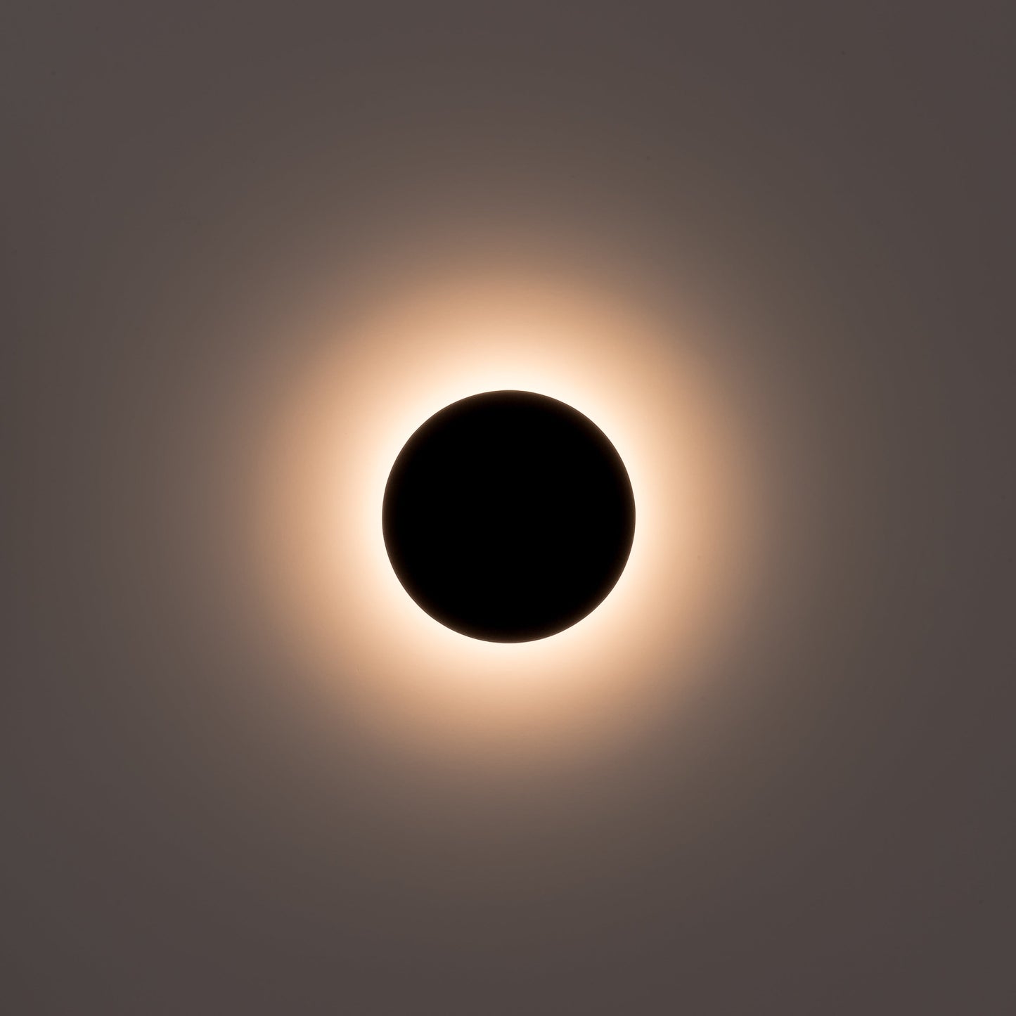 Black 150mm Surface Mounted Round Disc Wall Light