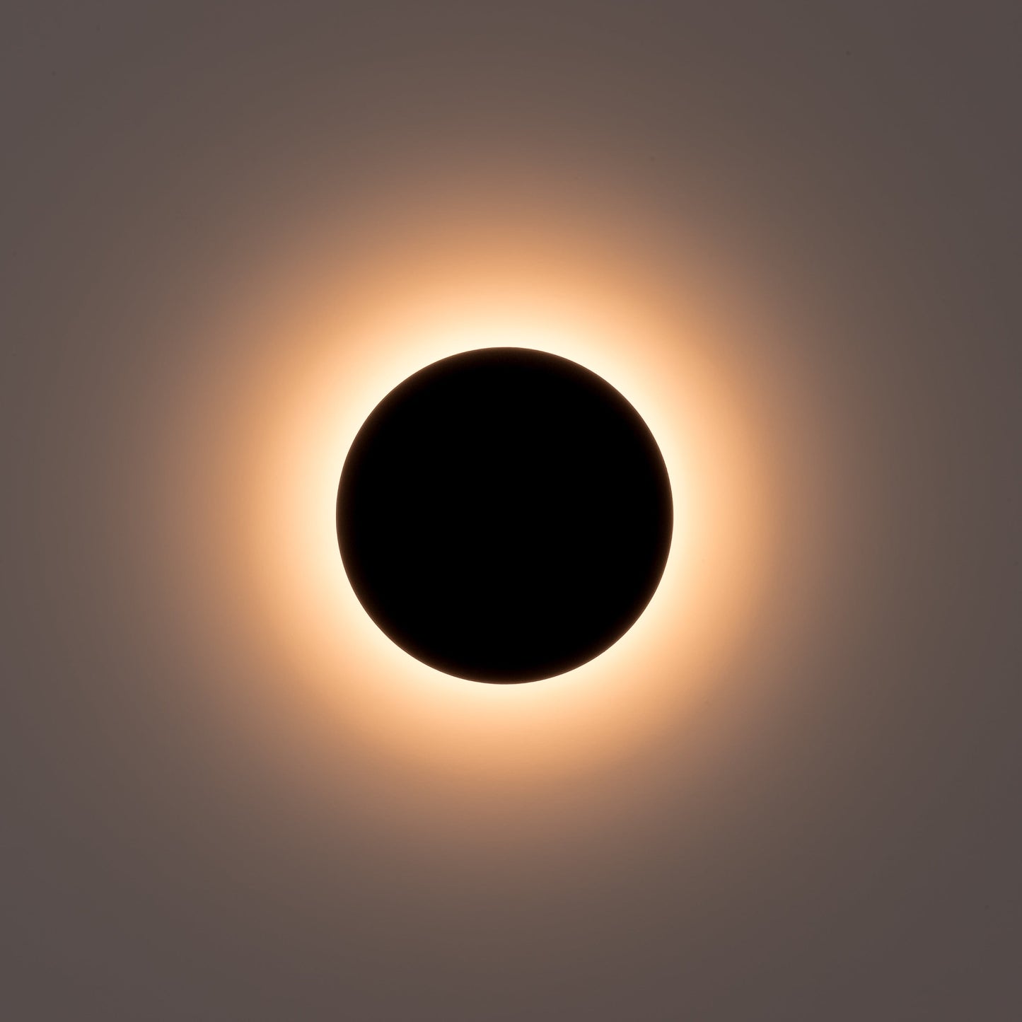 Black 200mm Surface Mounted Round Disc Wall Light