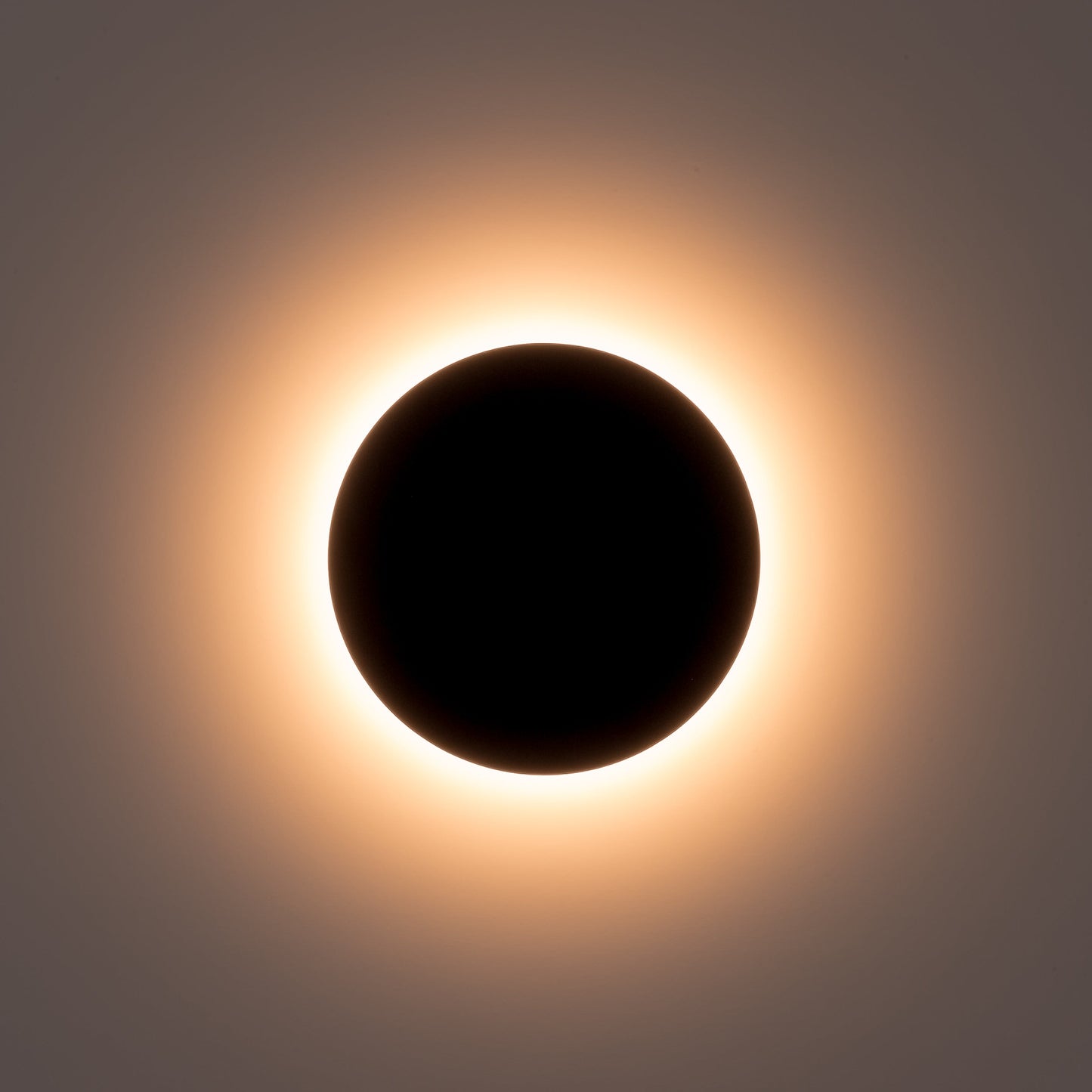 Black 250mm Surface Mounted Round Disc Wall Light