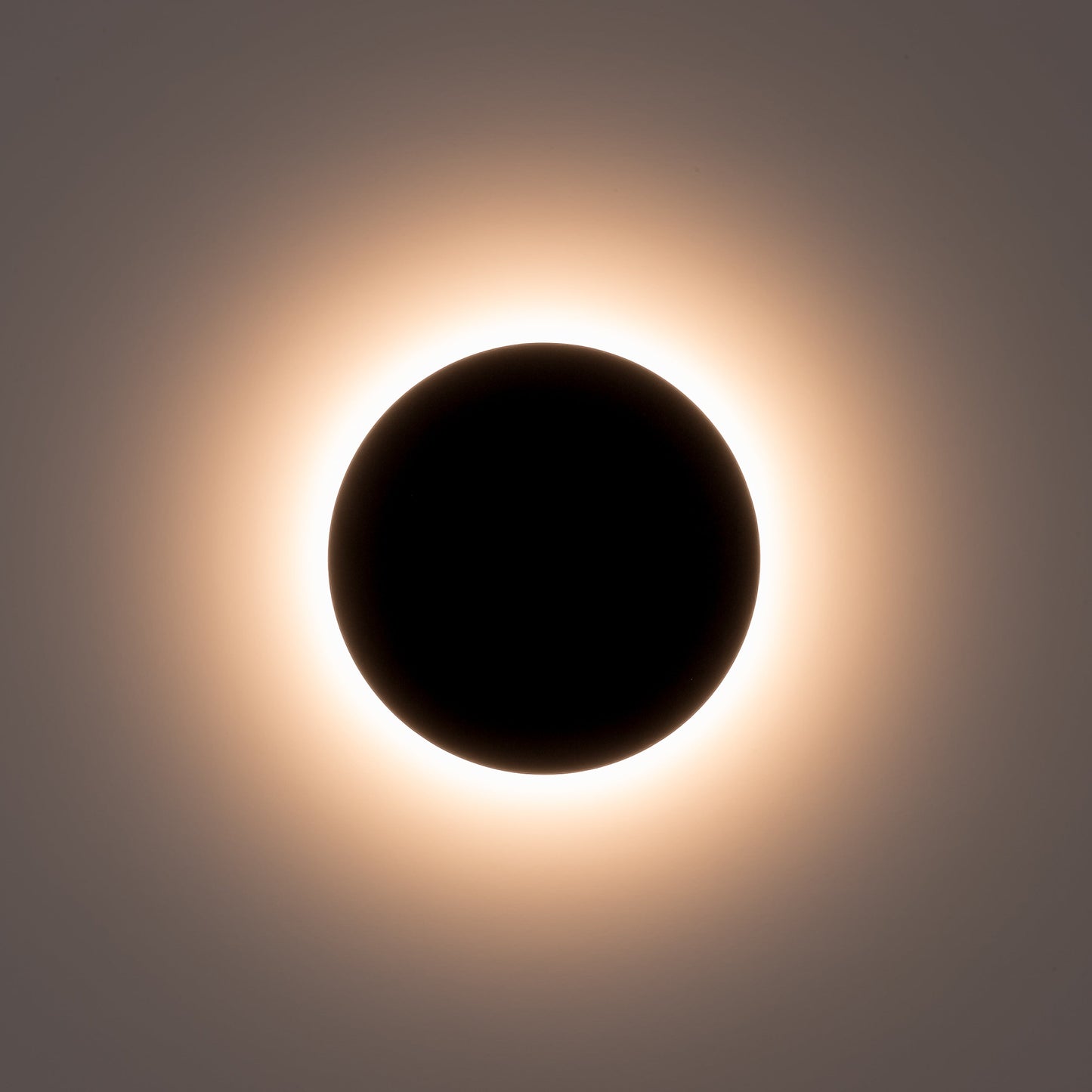 Black 250mm Surface Mounted Round Disc Wall Light