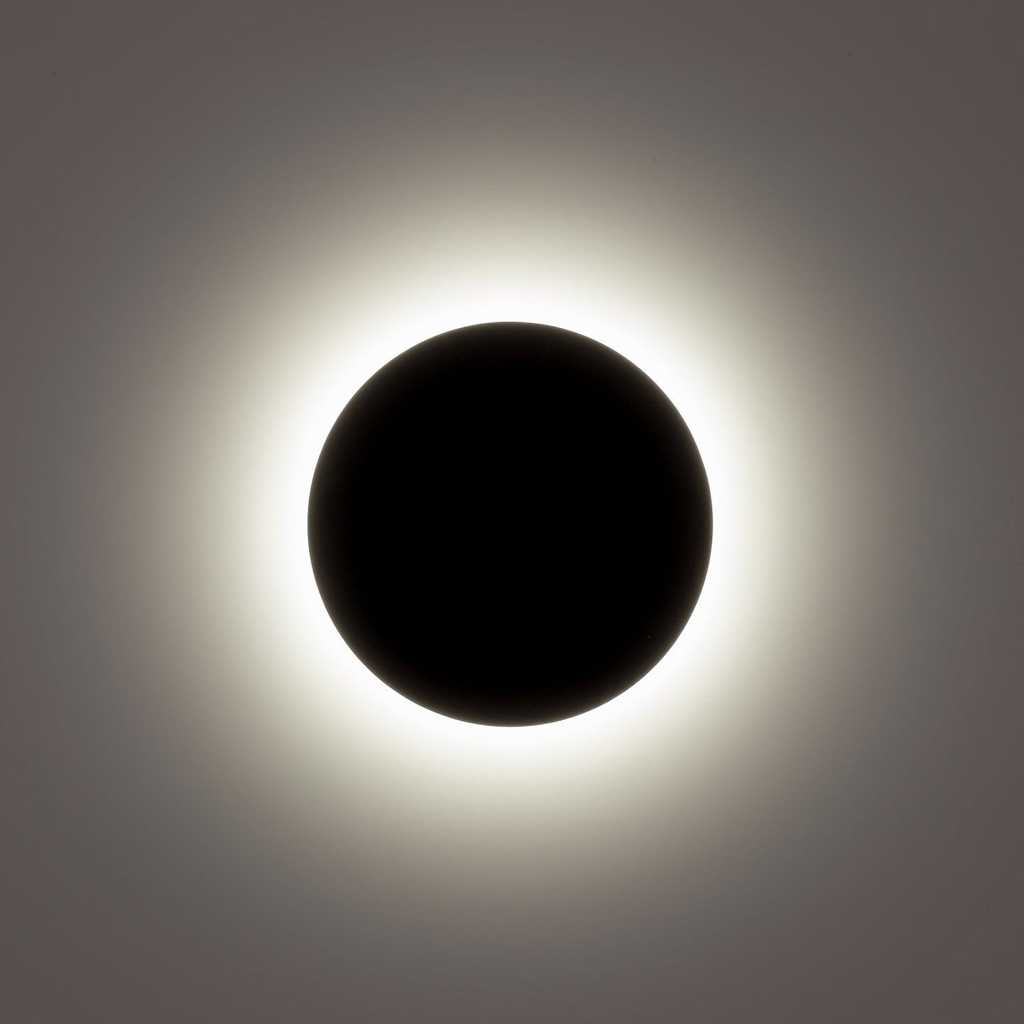 Black 250mm Surface Mounted Round Disc Wall Light