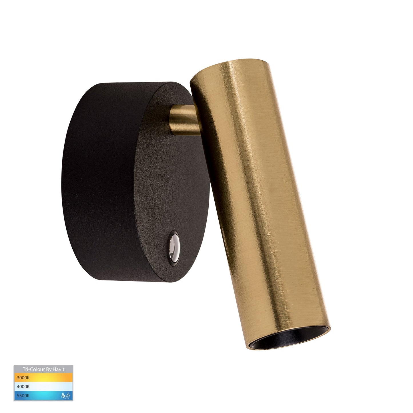 Black + Brass Dimmable Single Spot Light