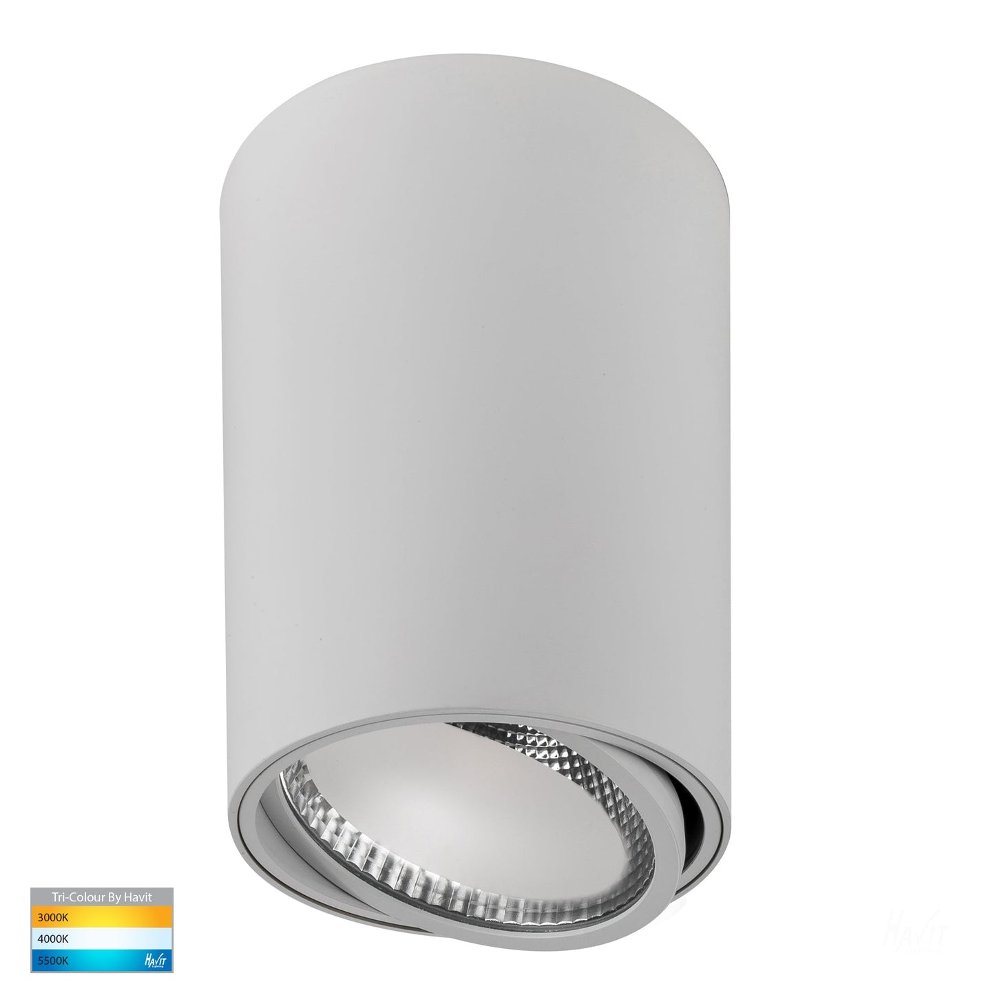Surface Mounted Adjustable Round Downlight HV5815t