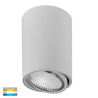 Surface Mounted Adjustable Round Downlight HV5815t