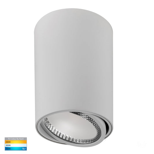 Surface Mounted Adjustable Round Downlight HV5815t