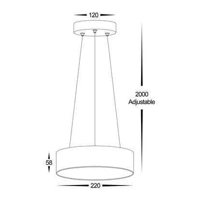 Black 220mm Surface Mounted Round Pendant Light