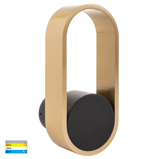 Black + Brass Indoor Wall Light