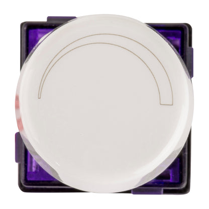 Dial Dimmer 3w-300w