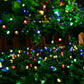 100 LED Fairy Light Chain - Plug In - 3 Colour Options