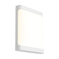 Odessa Exterior Wall Light