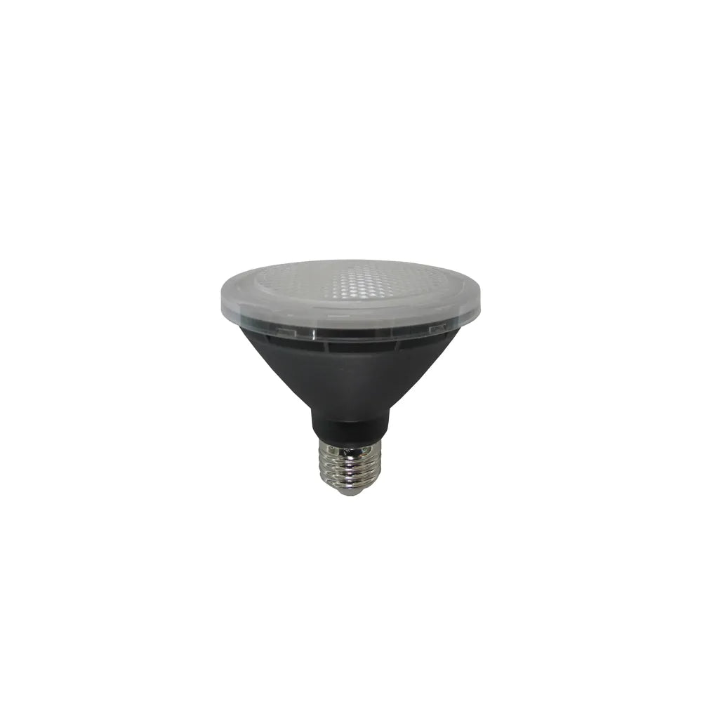 PAR30 LED Globe (10W)