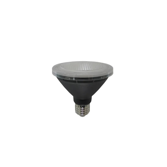 PAR30 LED Globe (10W)