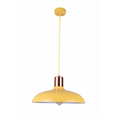 Pendant Dome With Copper Lamp Holder Cover