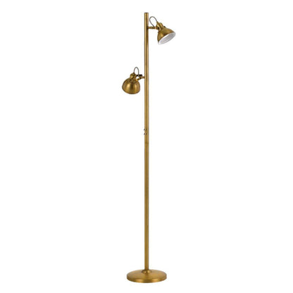 Carson 2 Light Metal Floor Lamp