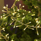 720 LED Cluster Light Chain - Clear Cable - 3 Colour Options