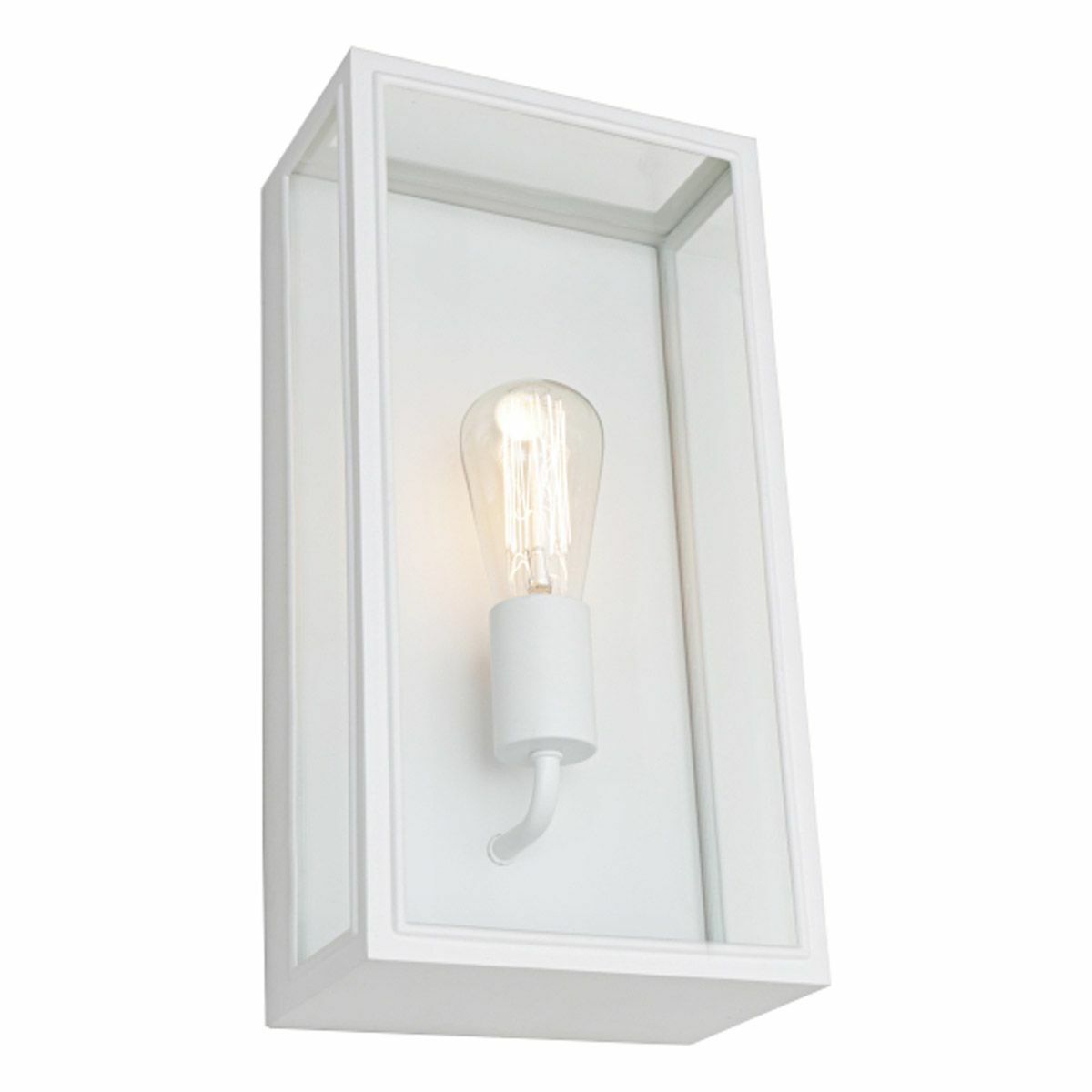 Chester Metal and Glass Outdoor Wall Light