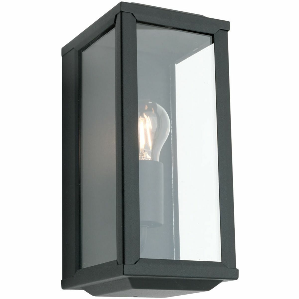 Anglesea Metal and Glass Outdoor Wall Light