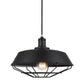 Matrix Iron Cage Pendant Light