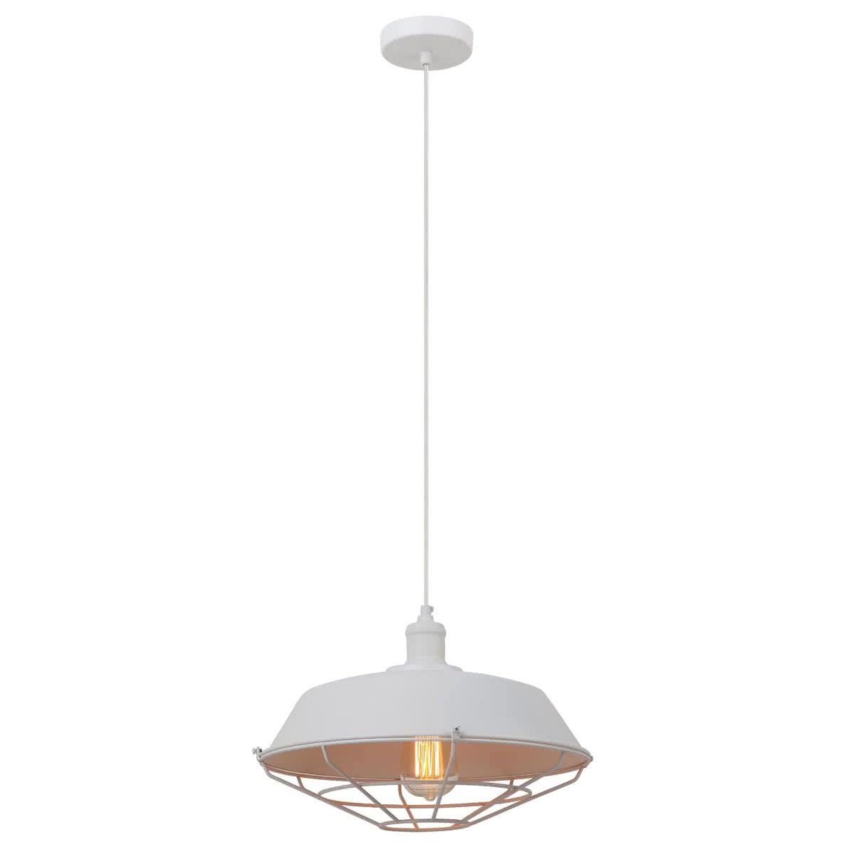 Matrix Iron Cage Pendant Light