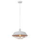 Matrix Iron Cage Pendant Light