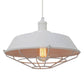 Matrix Iron Cage Pendant Light