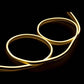 10 M Neon Light - Plug In - 7 Colour Options