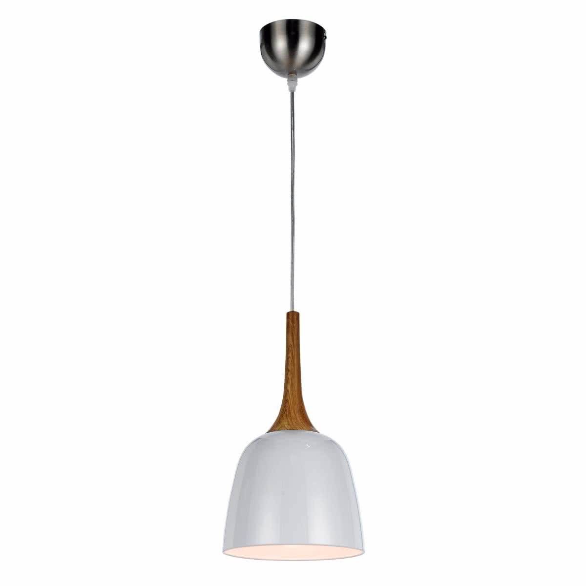 Polk 20 Metal Pendant Light