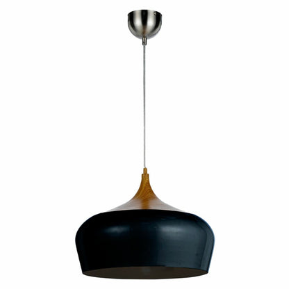 Polk 30 Metal Pendant Light